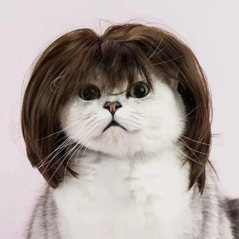Adorable Appearance Pet Short Hair Wig Headband - Cute and Playful All Seasons Fun Accessory for Dogs & Cats, Valentine's Day Gift