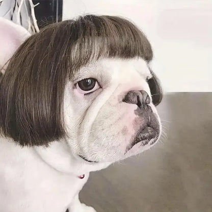 Adorable Appearance Pet Short Hair Wig Headband - Cute and Playful All Seasons Fun Accessory for Dogs & Cats, Valentine's Day Gift