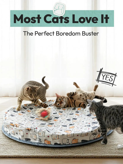 Interactive Cat Toy for Indoor Cats with automatic motion sensor, rechargeable moving ball and hide-and-seek mat