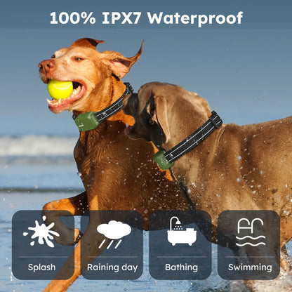 Jugbow Dog Collar 2 Dogs 4500FT Dog Training Collar with Remote, IPX7 Waterproof E Collar for Dogs Training Outdoor Rechargeable Collars for Dogs (10-120lbs)