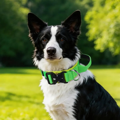 Adjustable Fit Dog Collar for Medium to Large Dogs, German Shepherd Accessories, High-Strength Metal Buckle, Tactical Training Collar, Durable Material Pet Accessory