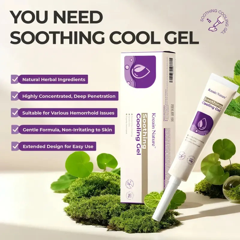 Hemorrhoid Gel Carthamus Seed Scutellaria Baicalensis Extract Carboxymethylcellulose Purple Daisy Apply to the Skin Used for Eliminating Hemorrhoids