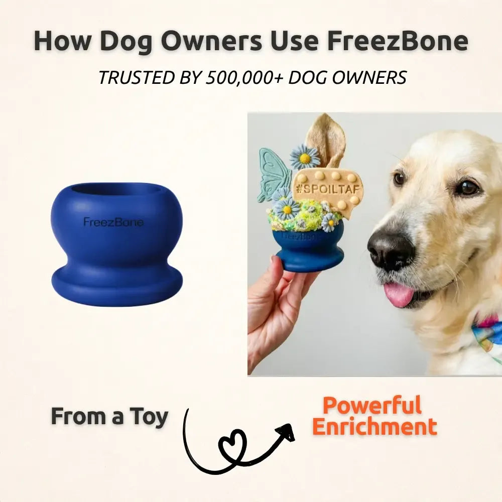 Durable Fillable Dog Chew Bone