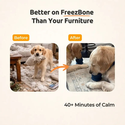 Durable Fillable Dog Chew Bone