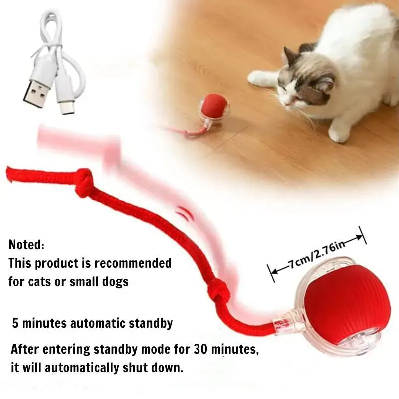Electric Rolling Cat Ball Toy with Rope, Interactive Cat Teaser Toy