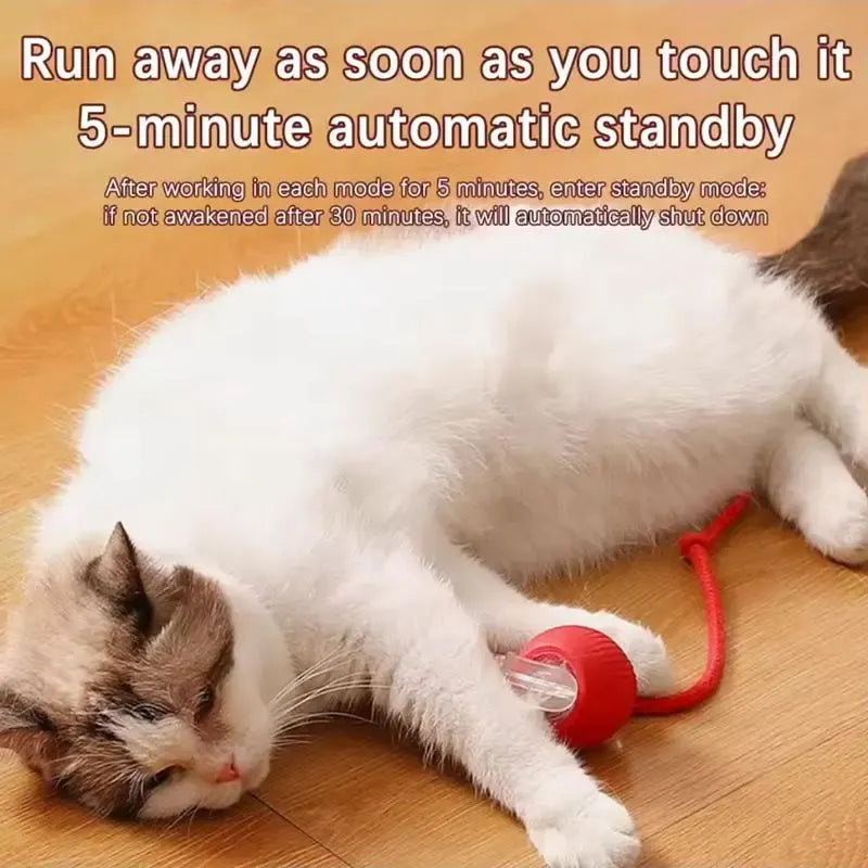 Electric Rolling Cat Ball Toy with Rope, Interactive Cat Teaser Toy