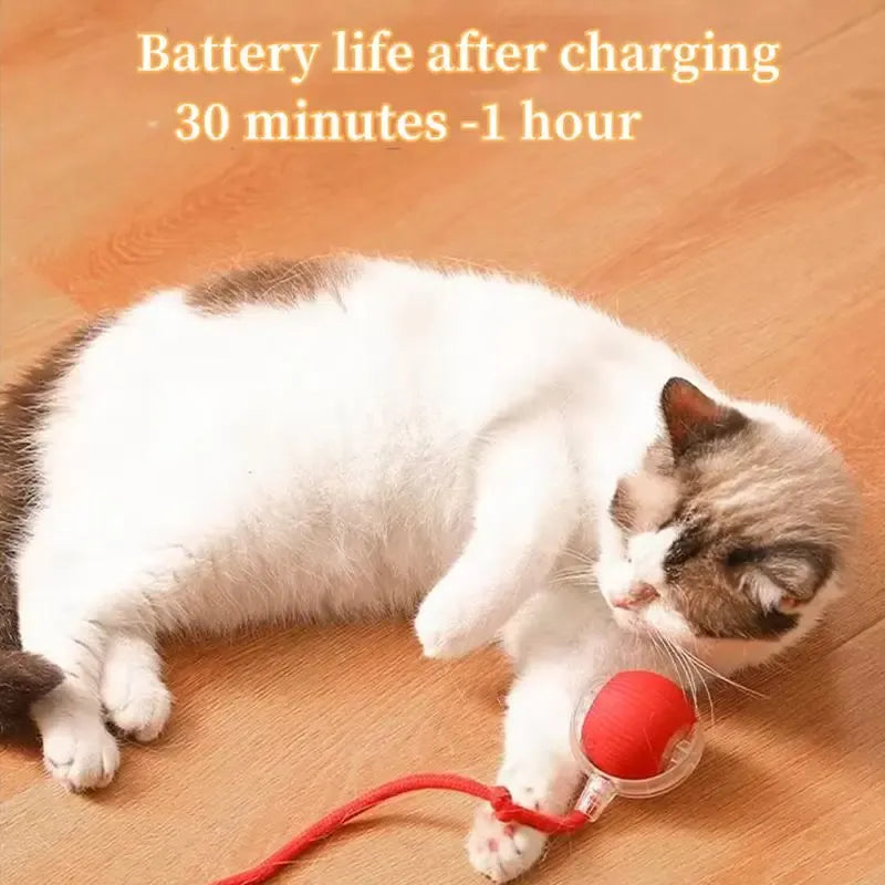 Electric Rolling Cat Ball Toy with Rope, Interactive Cat Teaser Toy